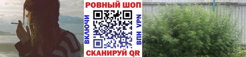Наркотические вещества Волгодонск Псилоцибиновые грибы  Амфетамин  А ПВП  ГАШ  Мефедрон  КОКАИН 