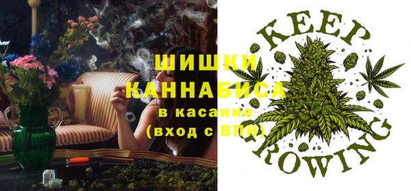 трава Вязьма