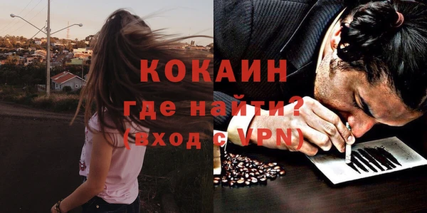 сатива Вяземский