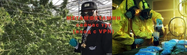 сатива Вяземский
