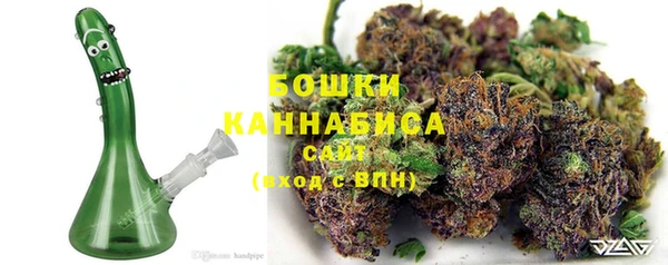 сатива Вяземский