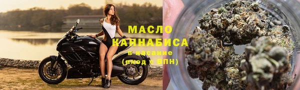 сатива Вяземский
