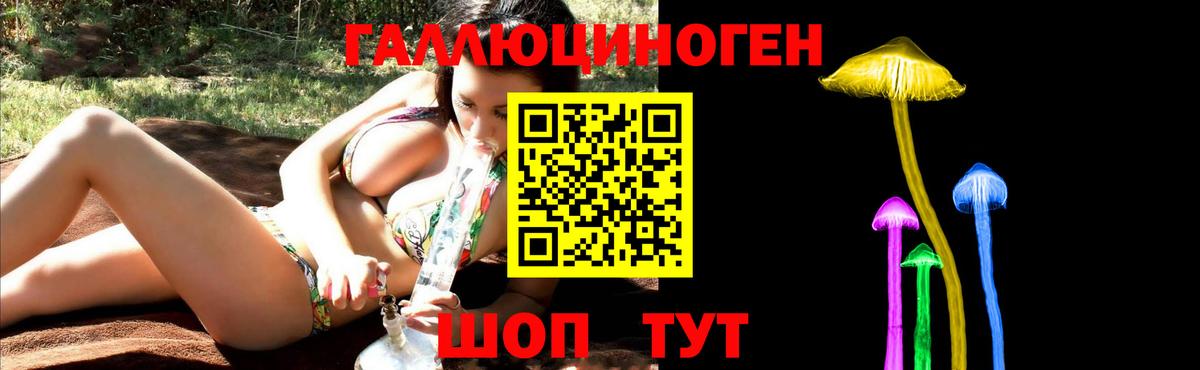Галлюциногенные грибы Psilocybe  Вход с VPN  продажа наркотиков  Волгодонск 